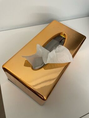 NWOT Rose Gold Tissue Box Cover
